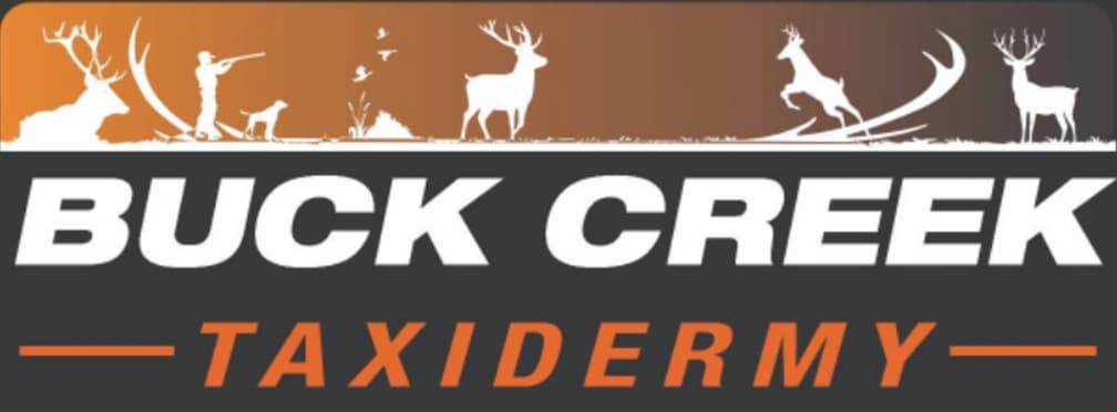 Buck Creek Taxidermy Logo