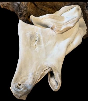 High Quality Deer Cape